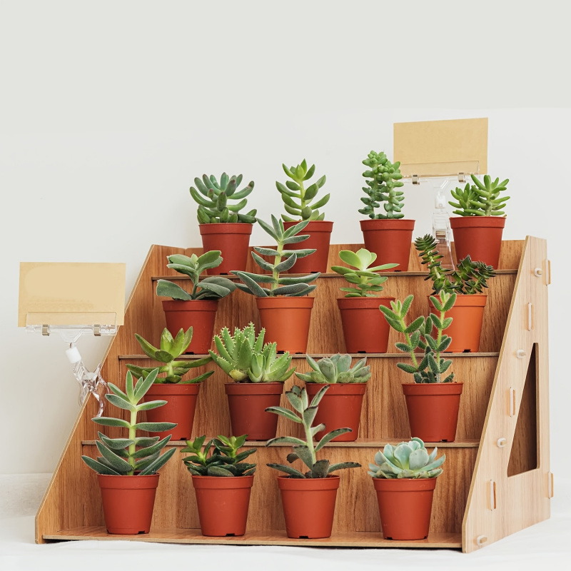 Pop Display Shelf - Ahşap Ürün Sergileme Rafı, Çiftlik Pazarı